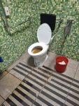 一樓廚餘桶旁無障礙廁所嚴重堵塞