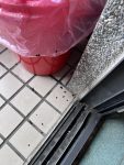 102陽台出現老鼠大便