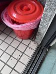 陽台又出現老鼠屎