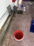 b1重訓室 抽水泵故障、積水